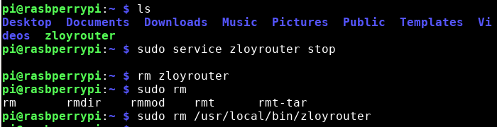 ZloyRouterDelete